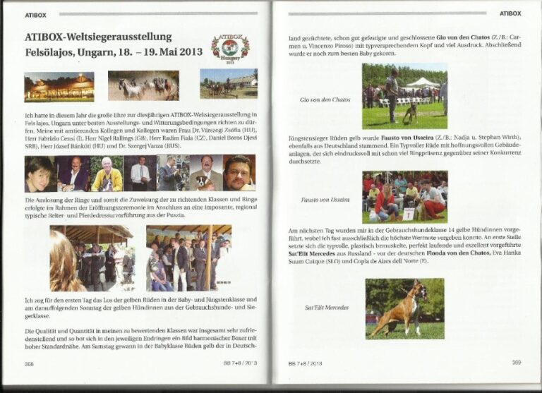 Read more about the article Atibox 2013 (BoxerBlaetter)