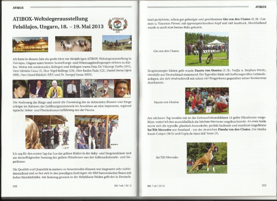 Atibox 2013 (BoxerBlaetter)